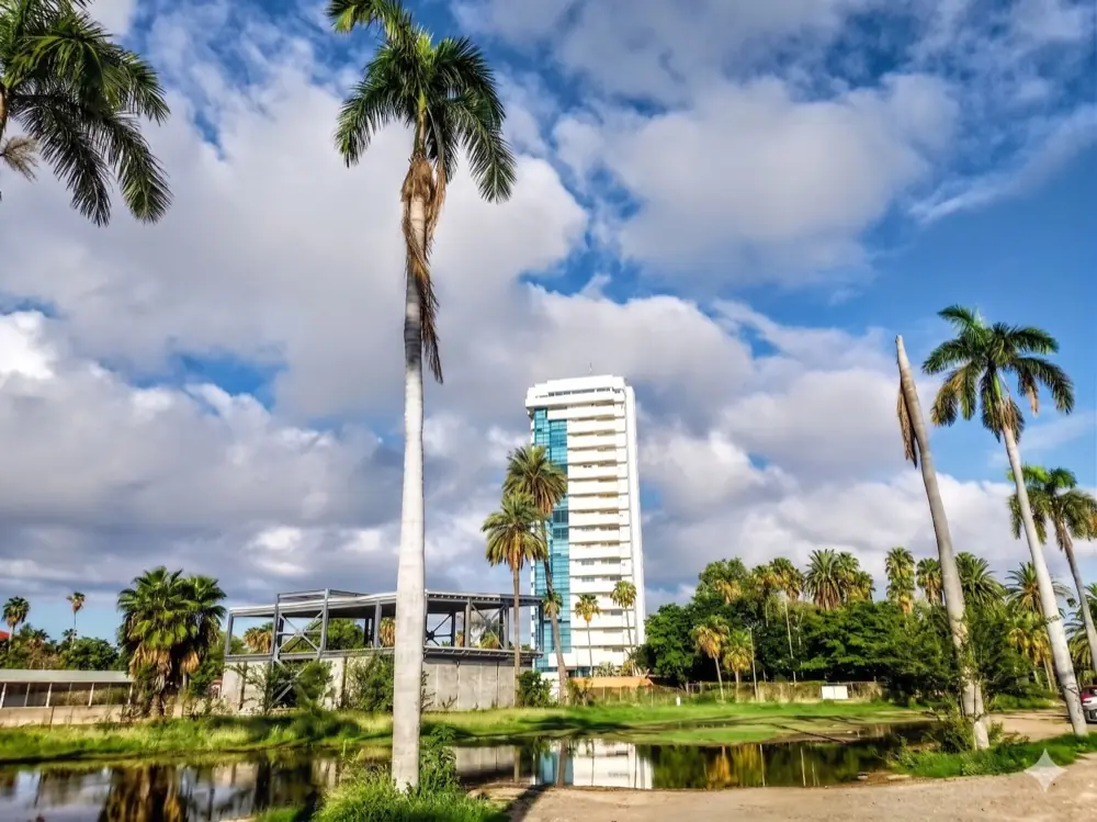 Los Mochis, con la torre del centro entre las palmeras